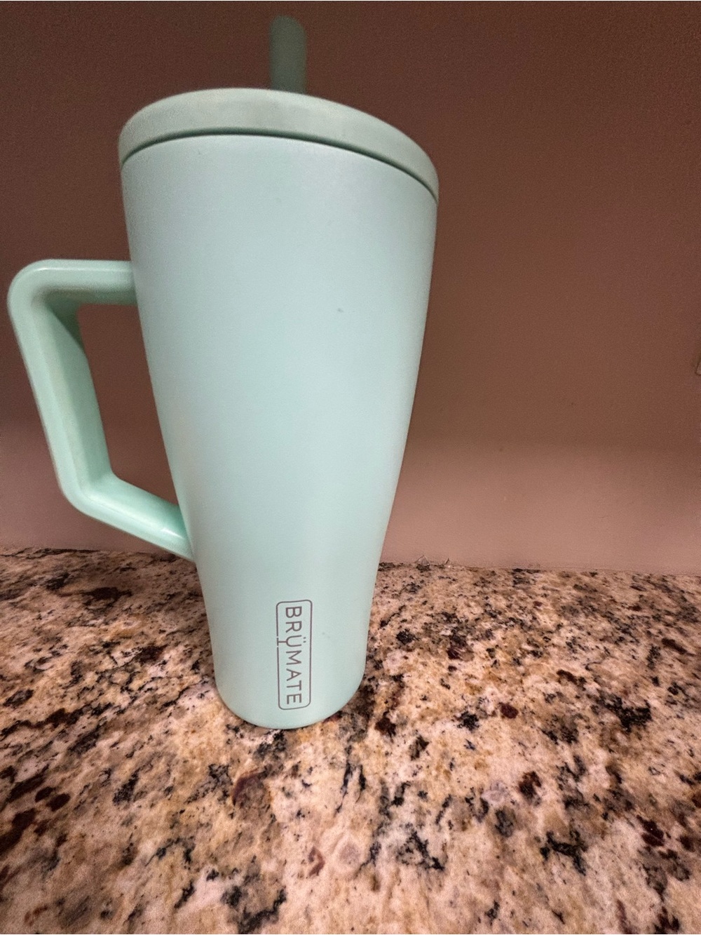 Mint Green Brumate with Handle